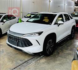 بي واي دي سونغ L DM-i